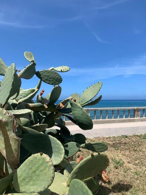 Angelina'S Apartment Cefalù Εξωτερικό φωτογραφία